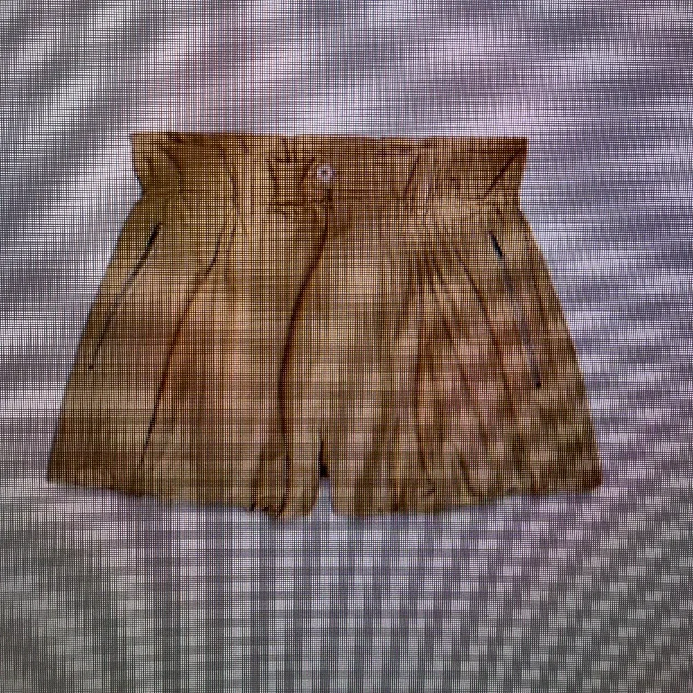 NWT, Zara ZW Collection Balloon Shorts w/Zipper Pockets - Picture 4 of 4
